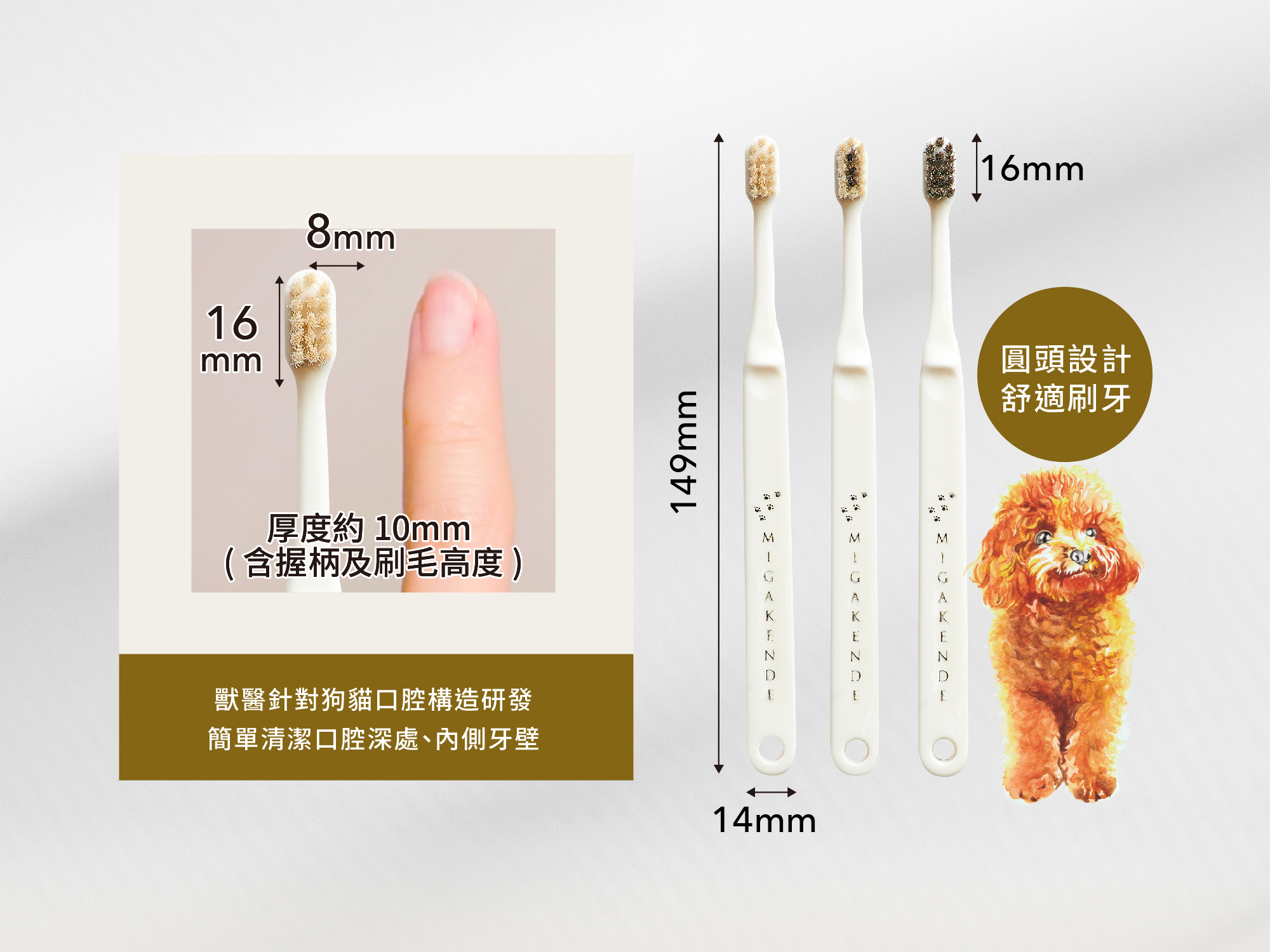 MIGAKENDE 敏齒樂一般款寵物牙刷尺寸,16mm圓頭刷頭、8mm刷頭寬度、149mm牙刷長度