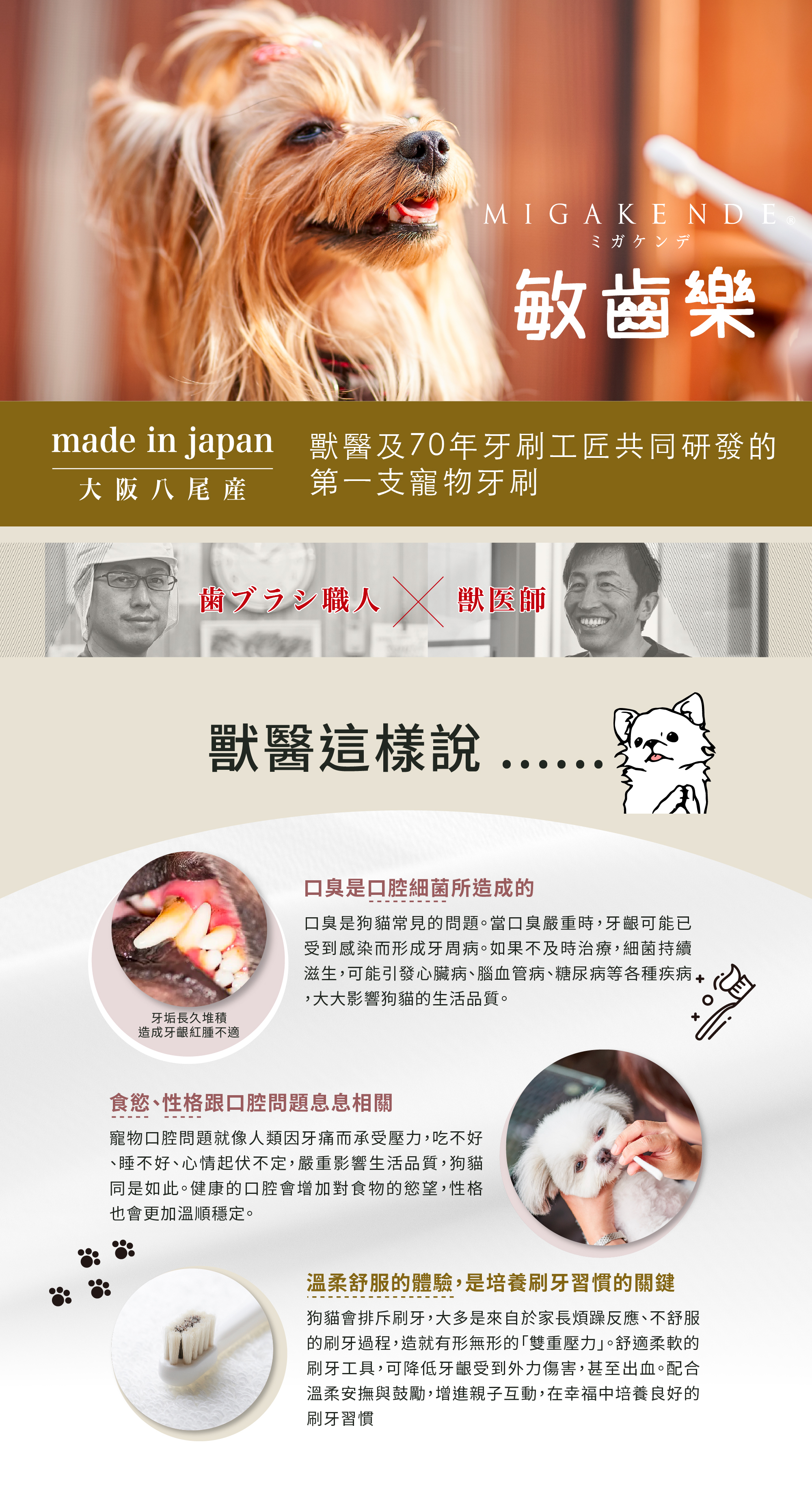MIGAKENDE 敏齒樂日本製天然毛寵物牙刷，由獸醫與70年牙刷職人共同研發