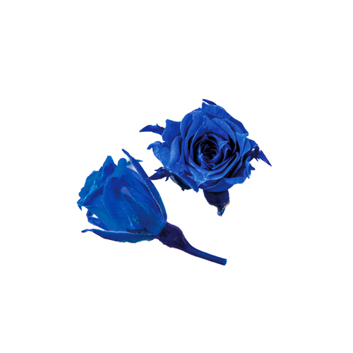 FL060-12 Grand Blue｜1.4-2cm 20輪｜Florever