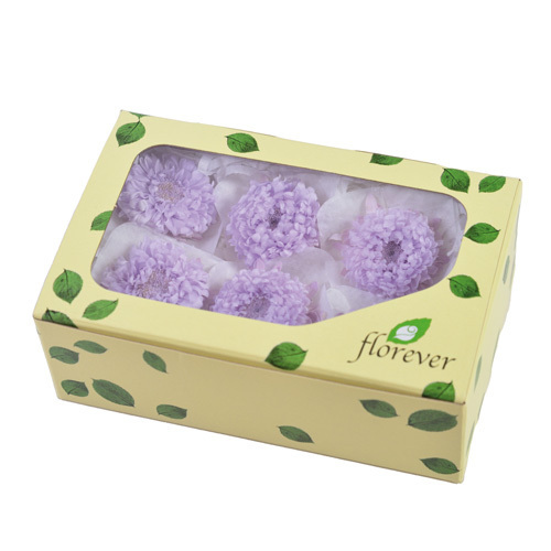 FL440-02 Yellow｜紫苑花 3.5-4.5cm 6輪｜Florever