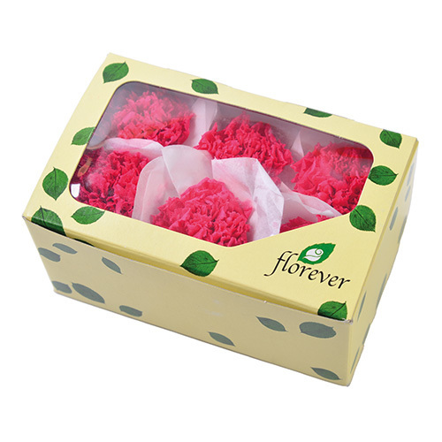 FL1100-10 Wine｜康乃馨 5cm 6輪｜Florever