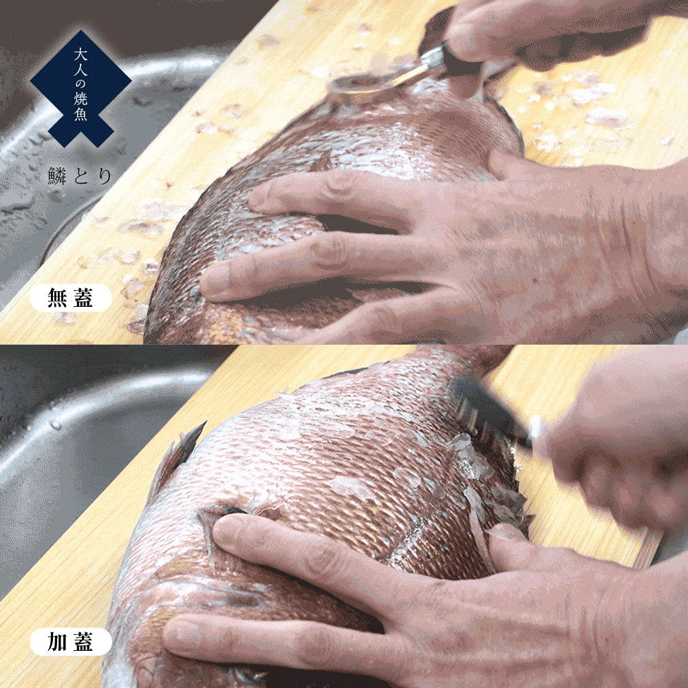《AUX》日本製真鍮(黃銅)魚鱗刨