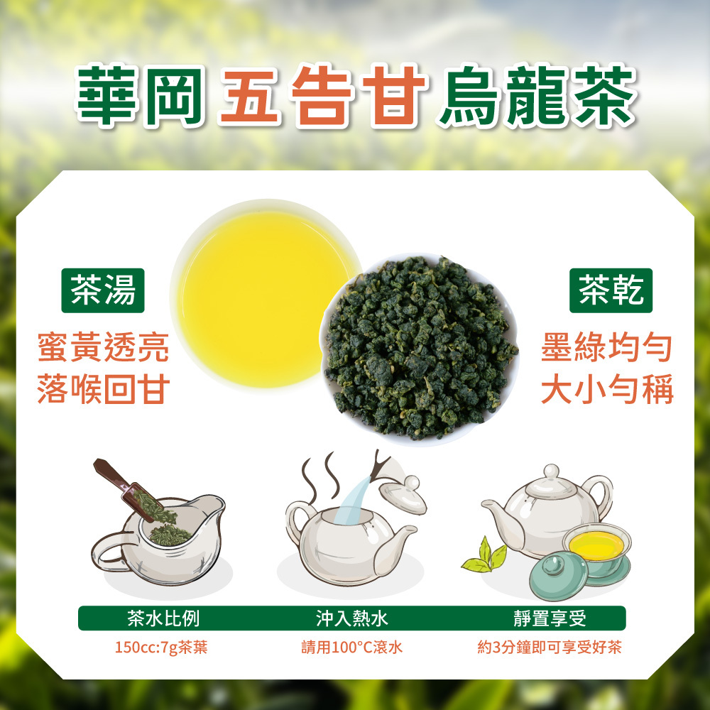 【五告喝拎系列】單包－華岡五告甘烏龍茶