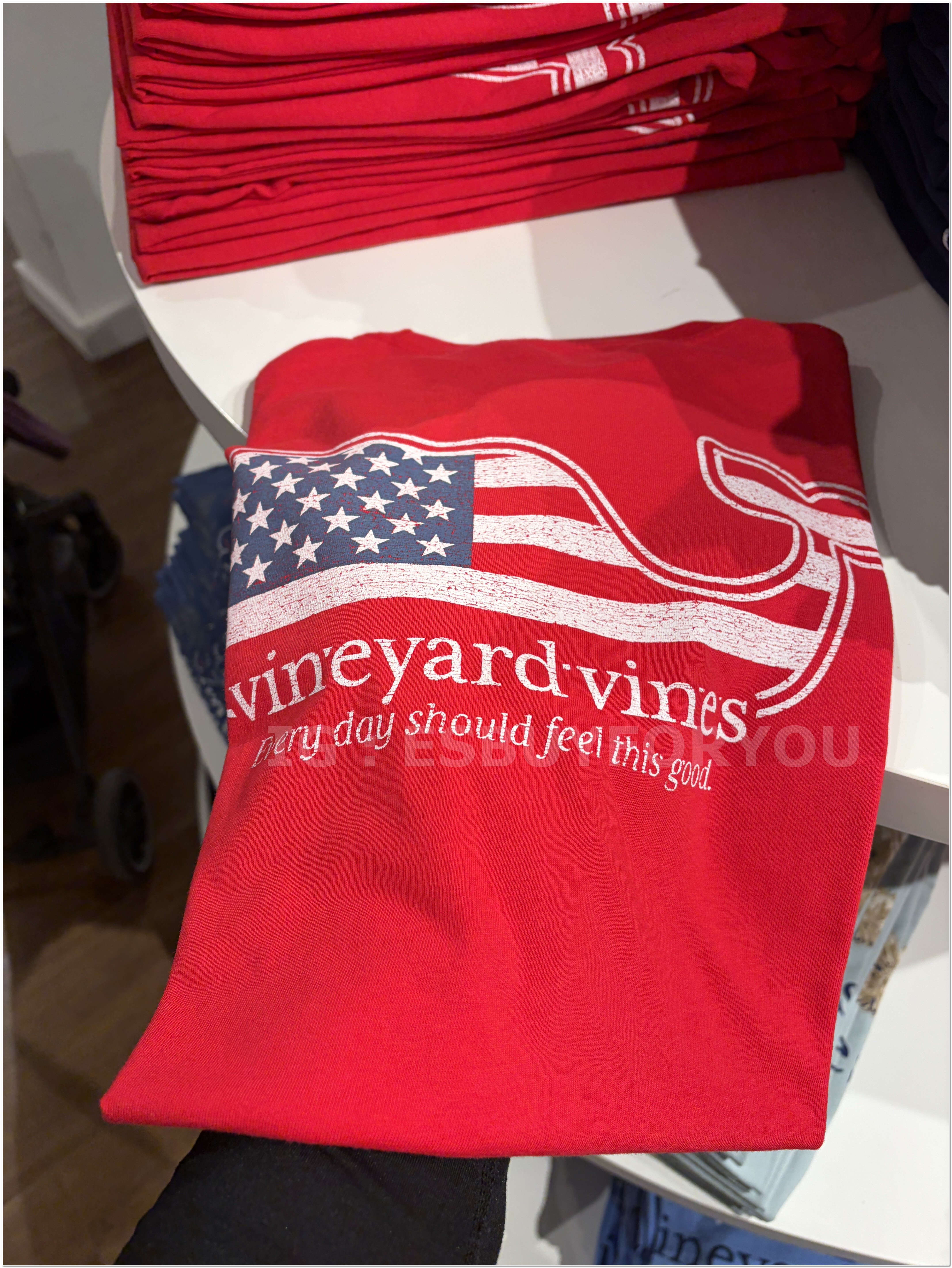 【限時】Vineyard Vines小鯨魚 男大人 國旗小鯨魚 短TEE