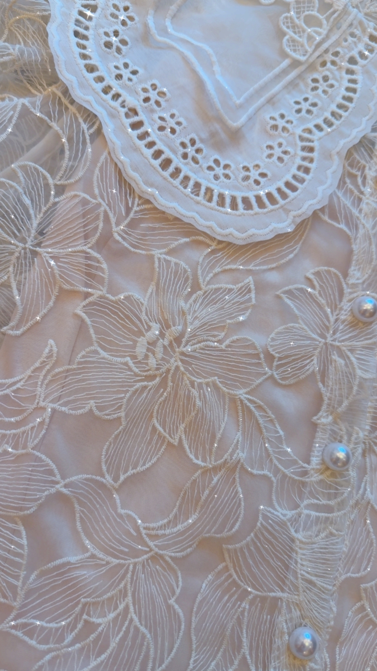 Mesh lace with puff puff shirt  °❀‿⋆˚✿˖°˚