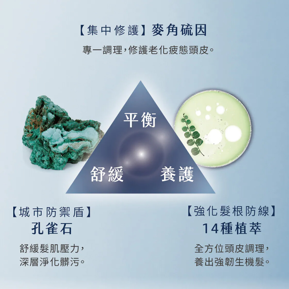 髮根豐盈頭皮精華 商品介紹圖