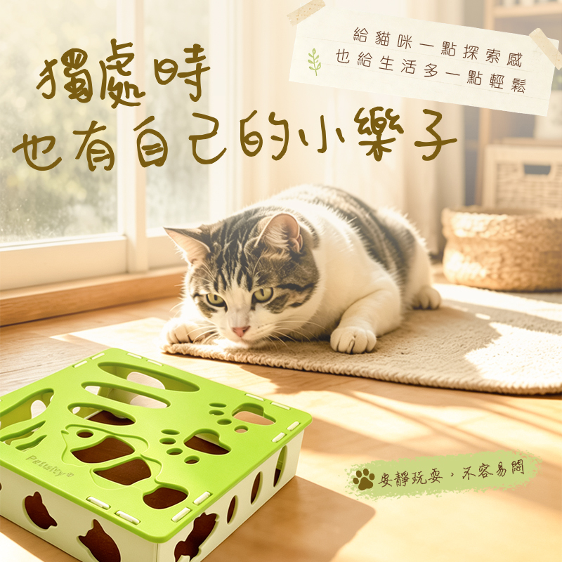 喵趣迷宮爪樂盒 逗貓盒 迷宮盒 樂趣迷宮洞、追逐鈴鐺球、磨爪抓零食・讓貓咪自嗨一整天（送2个鈴鐺）