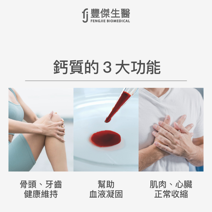 鈣質的3大功能:骨頭、牙齒健康維持、幫助血液凝固、肌肉、心臟正常收縮