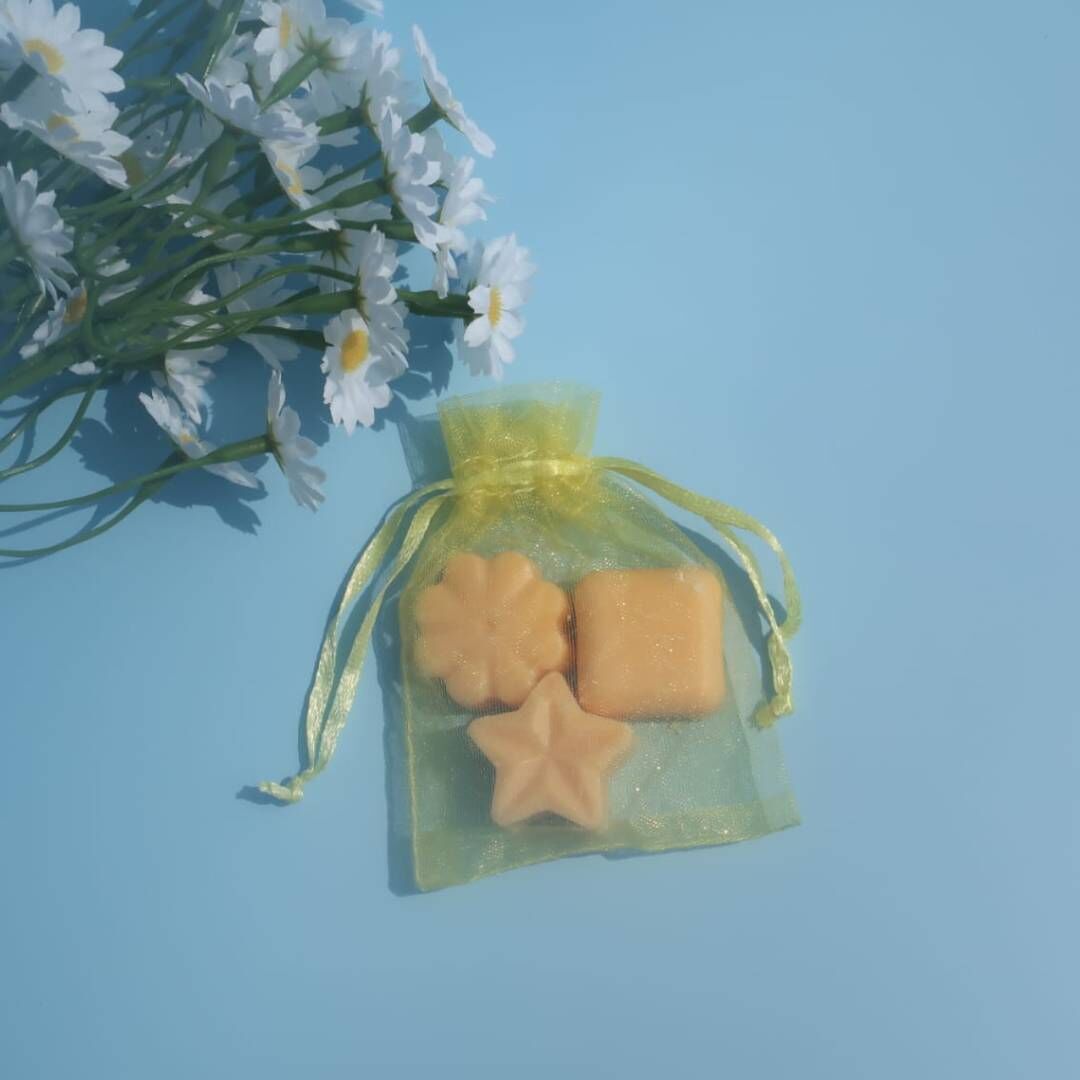 驅小強精油香磚