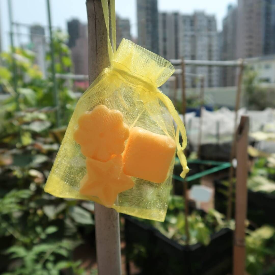 驅小強精油香磚