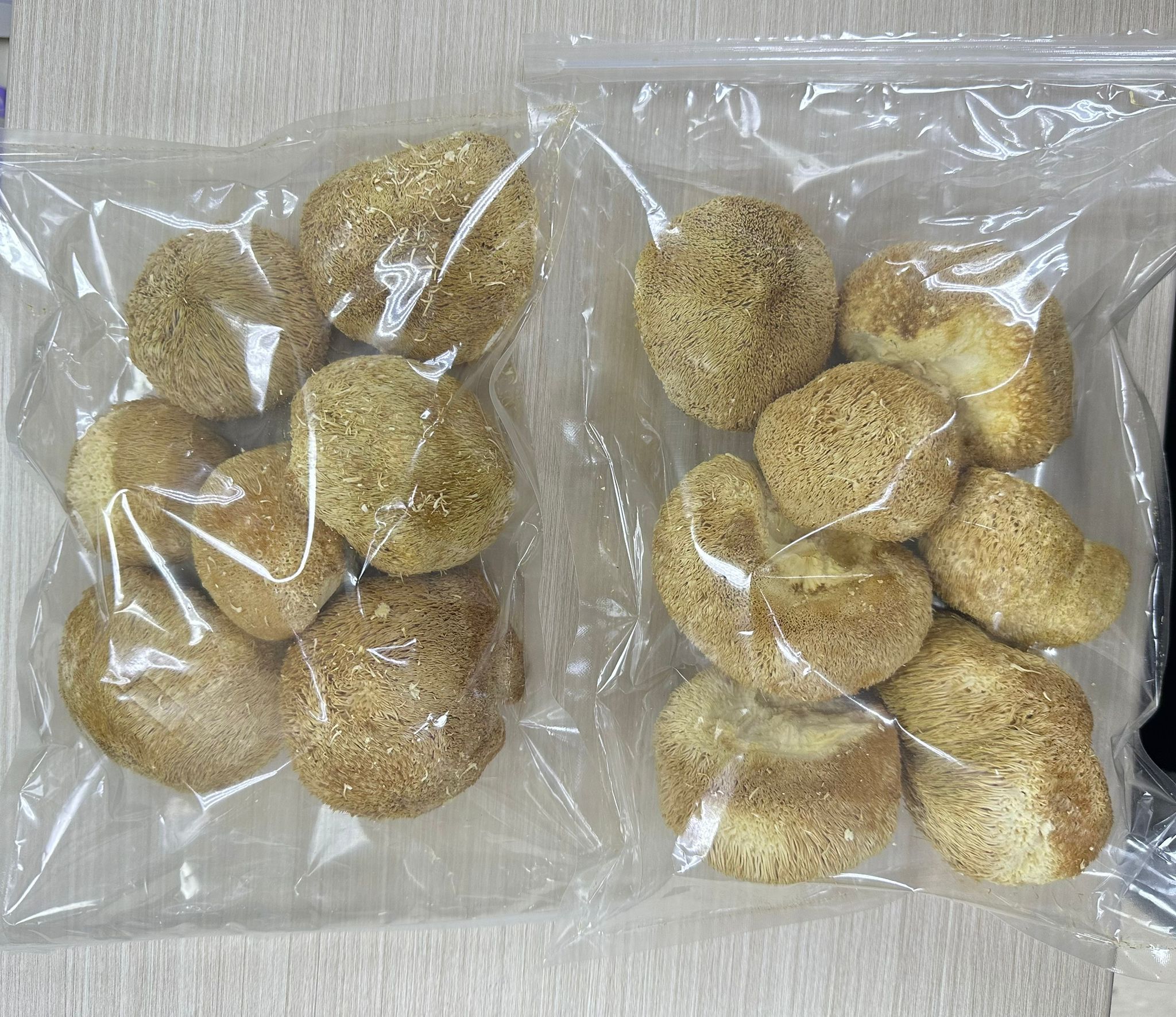 TG03 猴頭菇120克 (買一送一 共2件) **到期日:約2027/12 (需冷藏於0-5℃度範圍內保存)