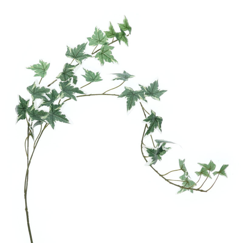 裝飾植物/綠色藤蔓