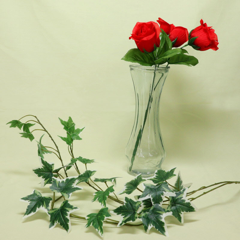 裝飾植物/綠色藤蔓
