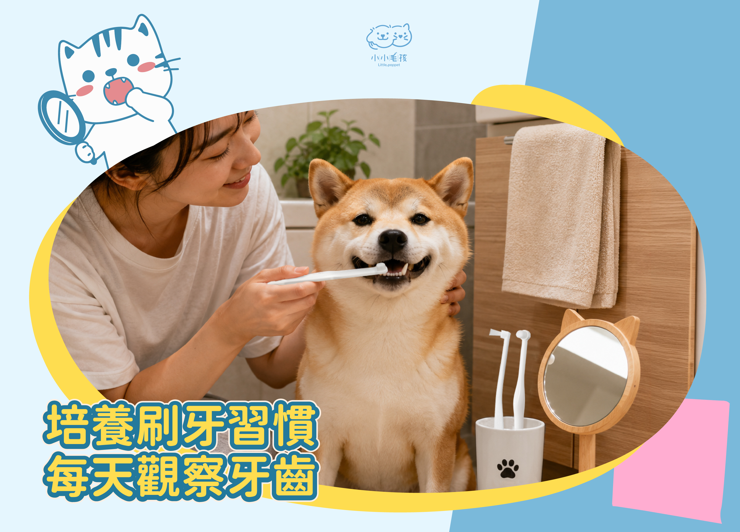 寵物潔牙習慣