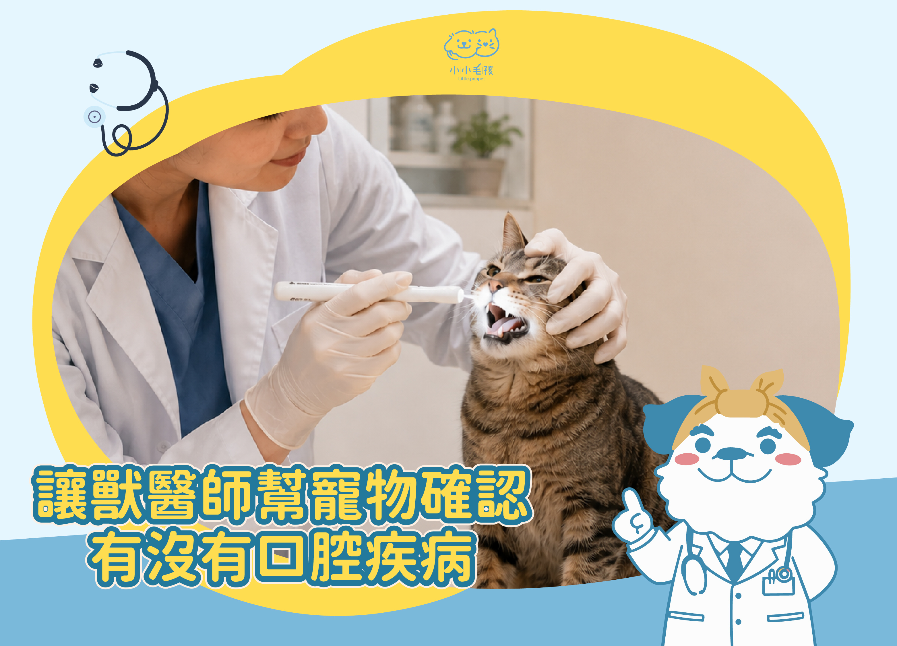 寵物口腔檢查