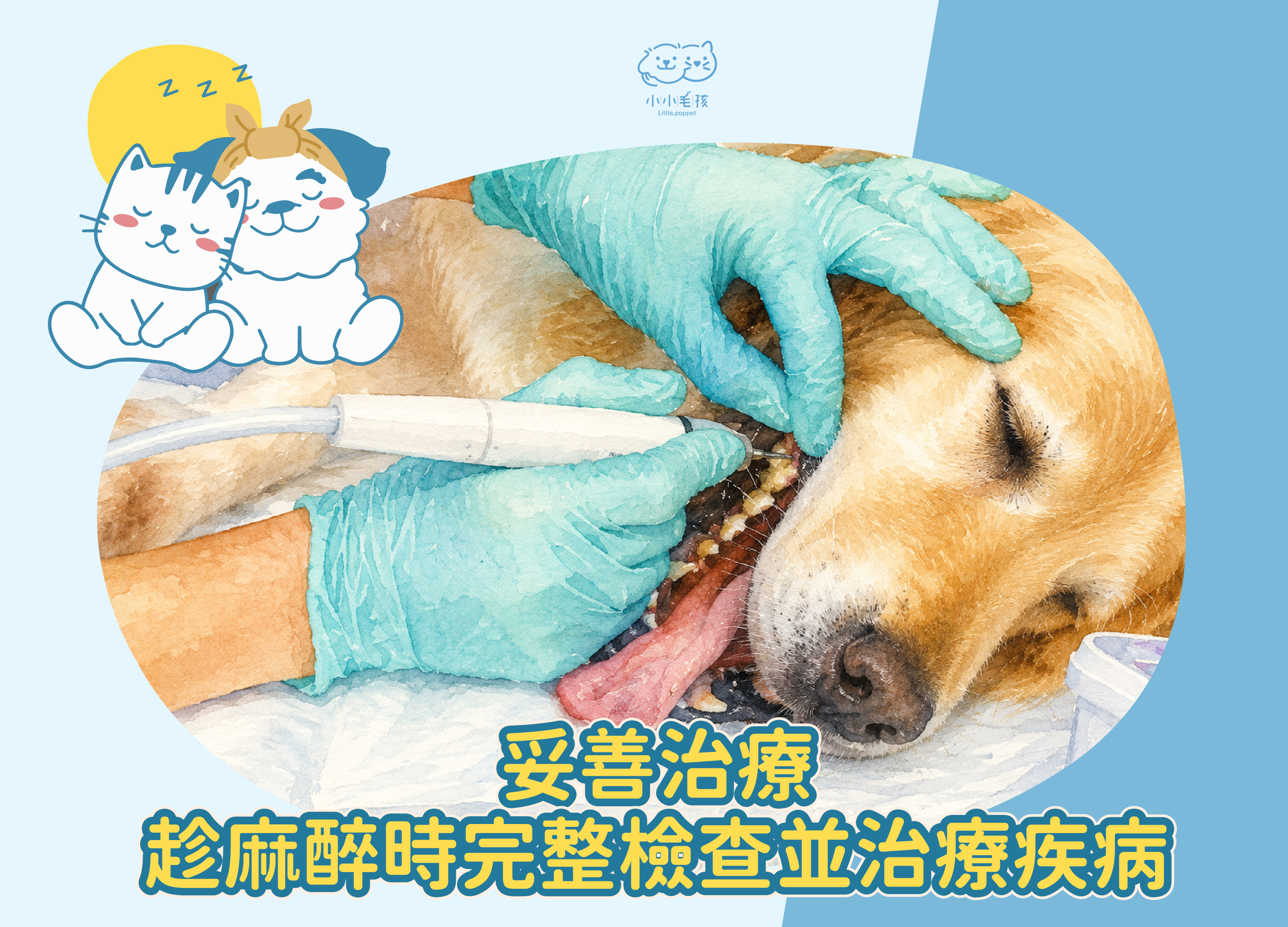 寵物口腔治療