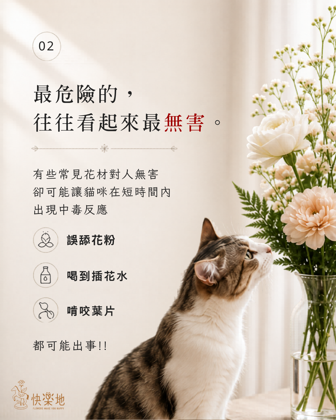 養貓家庭需要注意的花卉安全問題