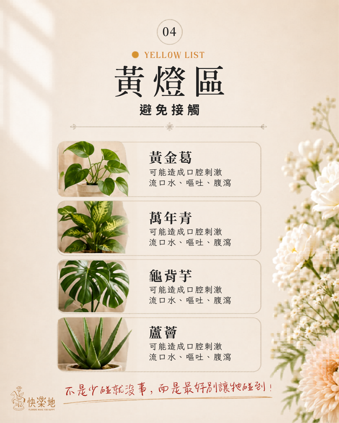 黃燈區植物可能刺激貓咪口腔與腸胃