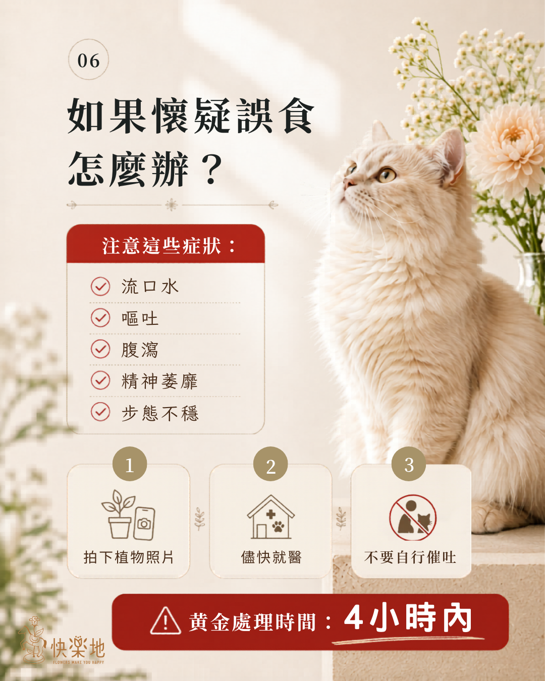 貓咪誤食植物後的症狀與緊急處理方式