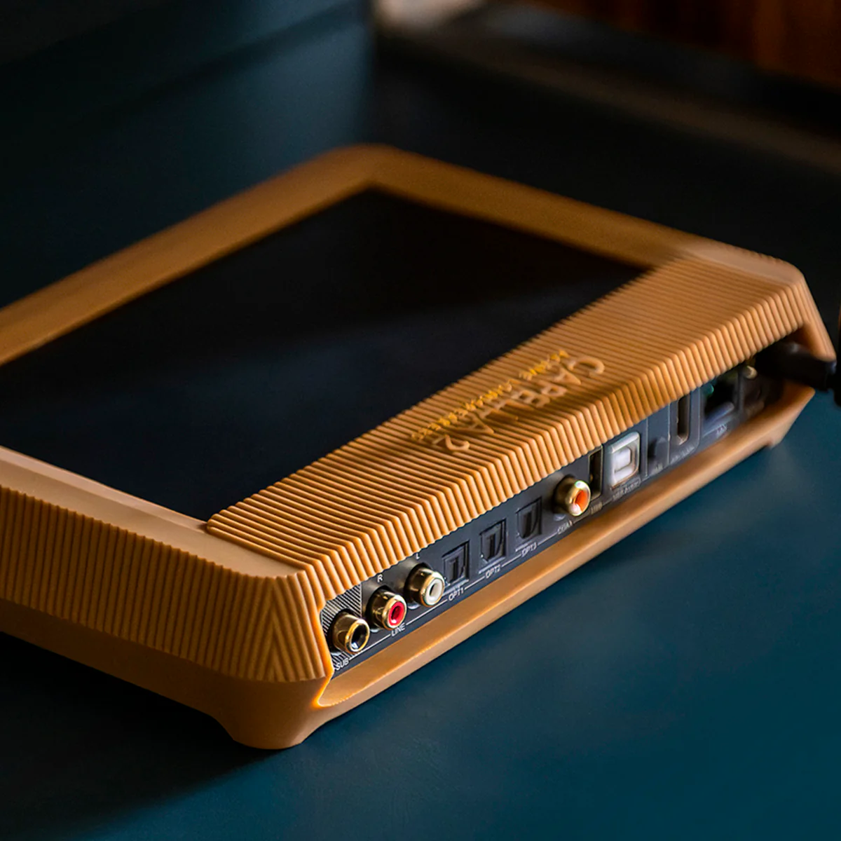CAPELLA 2 Stereo Hub 2 接口特寫