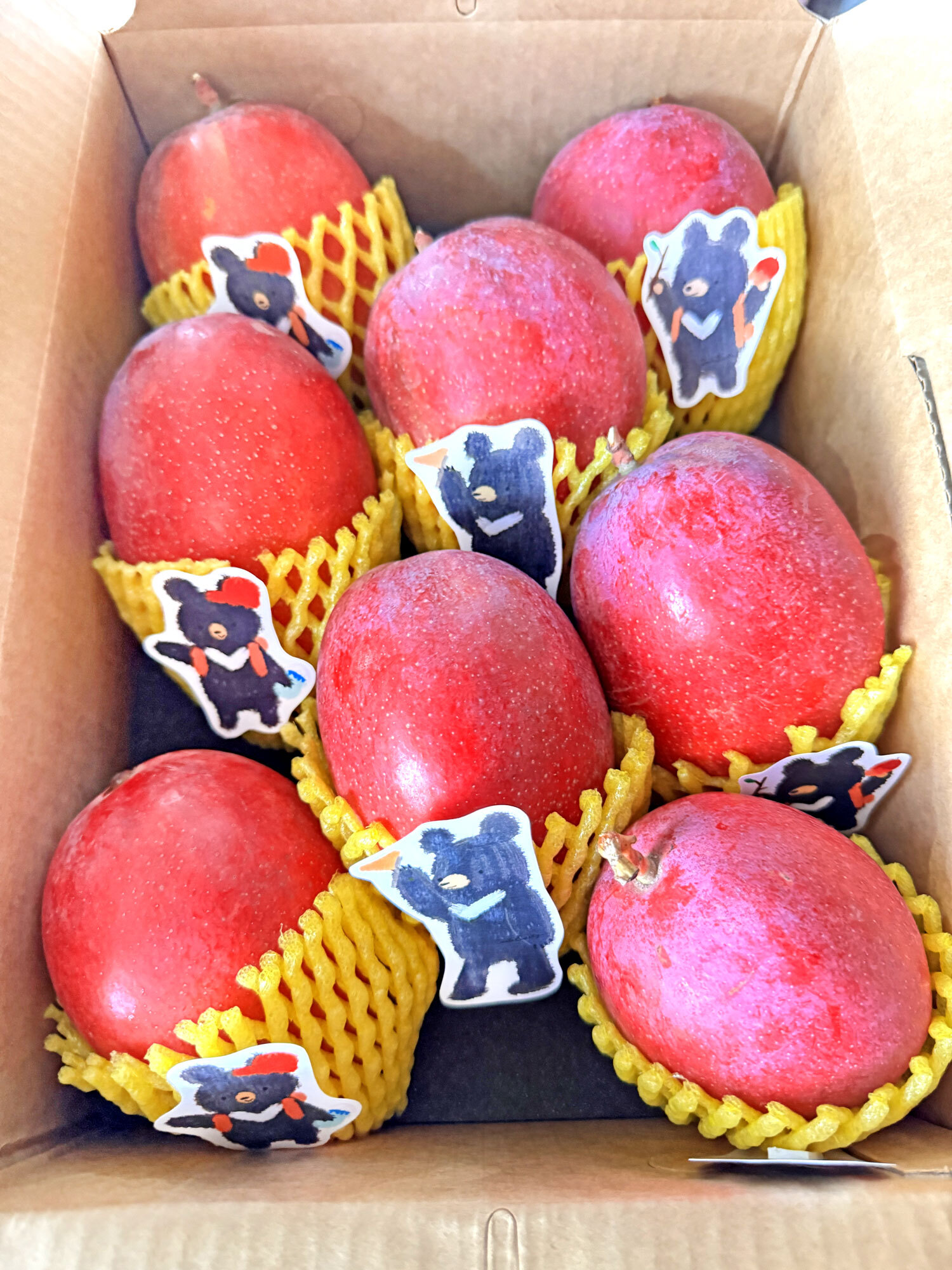 Taiwan Pingtung Irwin Mangoes - Premium 8 pcs - 3kg (375-413g/each)