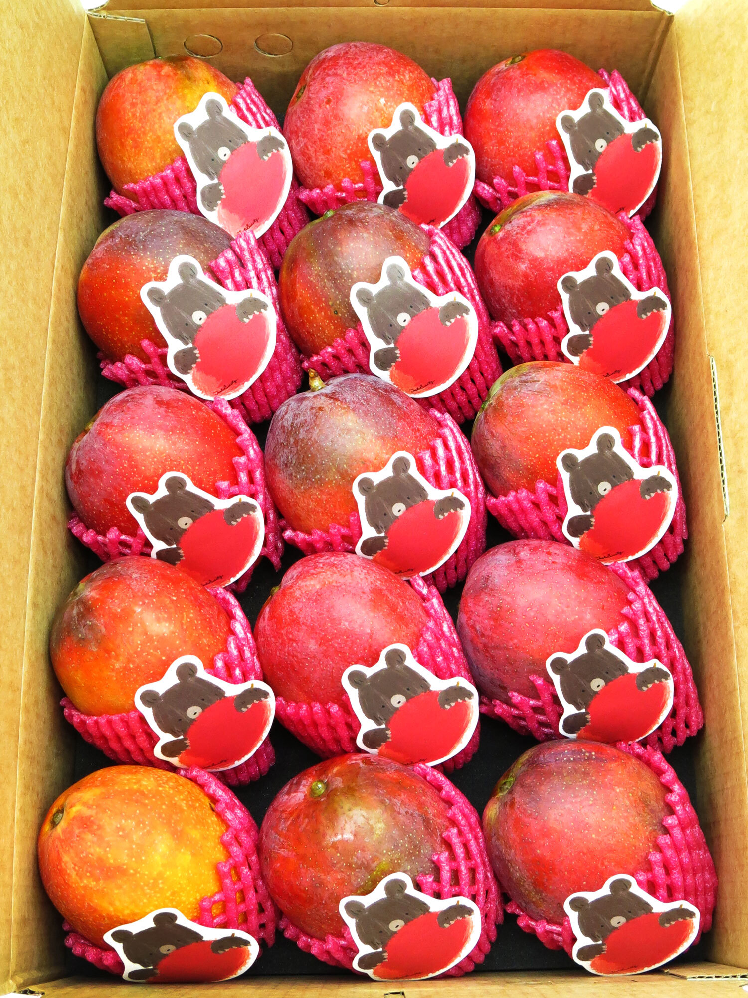 Taiwan Pingtung Irwin Mangoes - Premium 15 pcs - 6kg (375-413g/each)