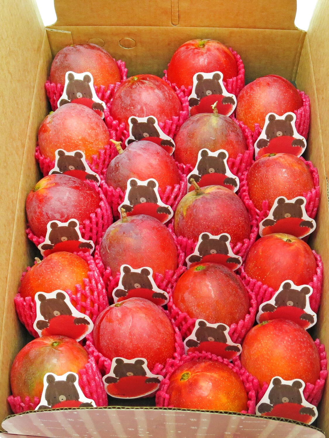 Taiwan Pingtung Irwin Mangoes - Premium 18 pcs - 6kg (300-340g/each)
