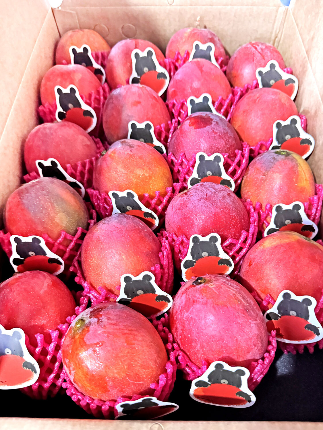 Taiwan Pingtung Irwin Mangoes - Premium 20 pcs - 6kg (263-300g/each)