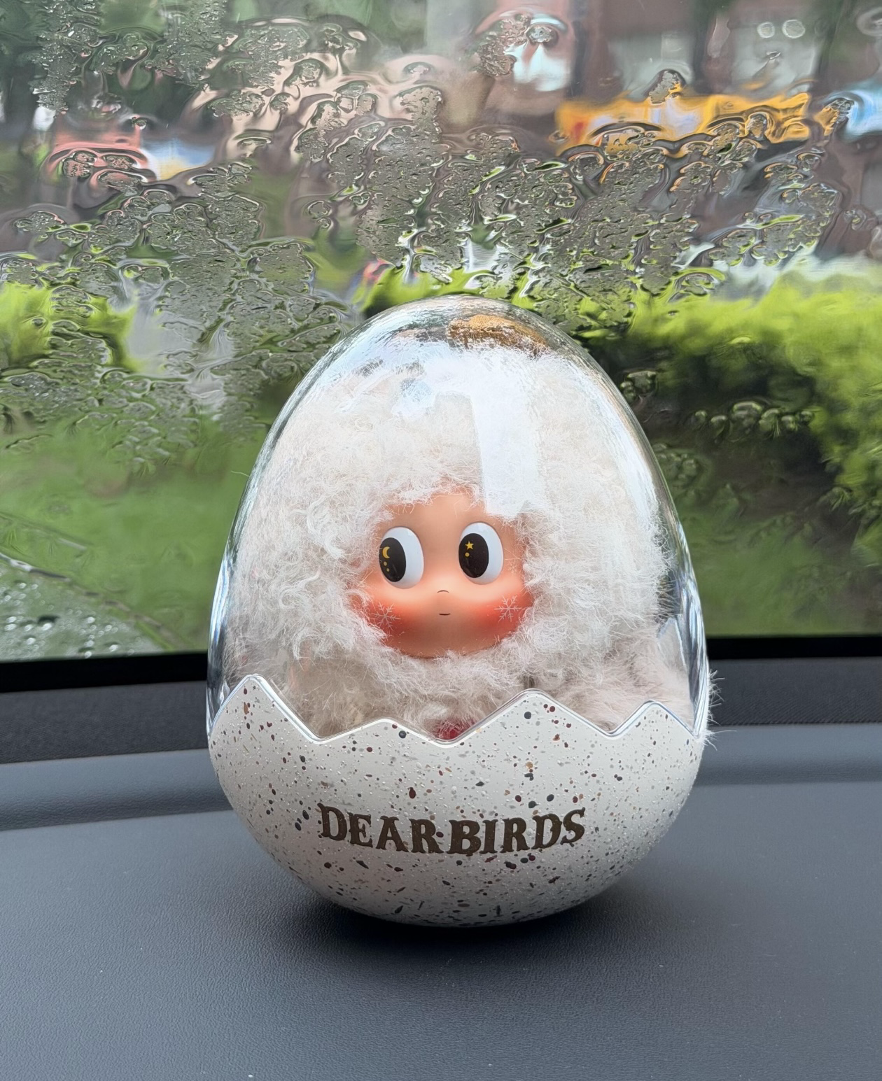 POP MART 泡泡瑪特 Dear Birds系列 蛋殼毛絨展示盒