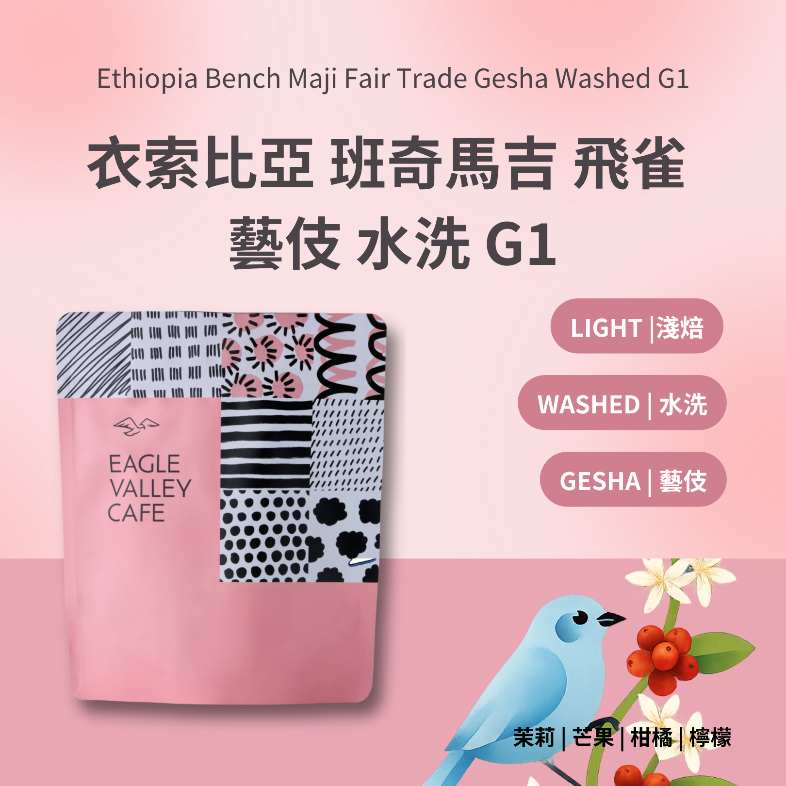 衣索比亞 班奇馬吉 飛雀 藝伎 水洗 G1 淺焙 咖啡豆