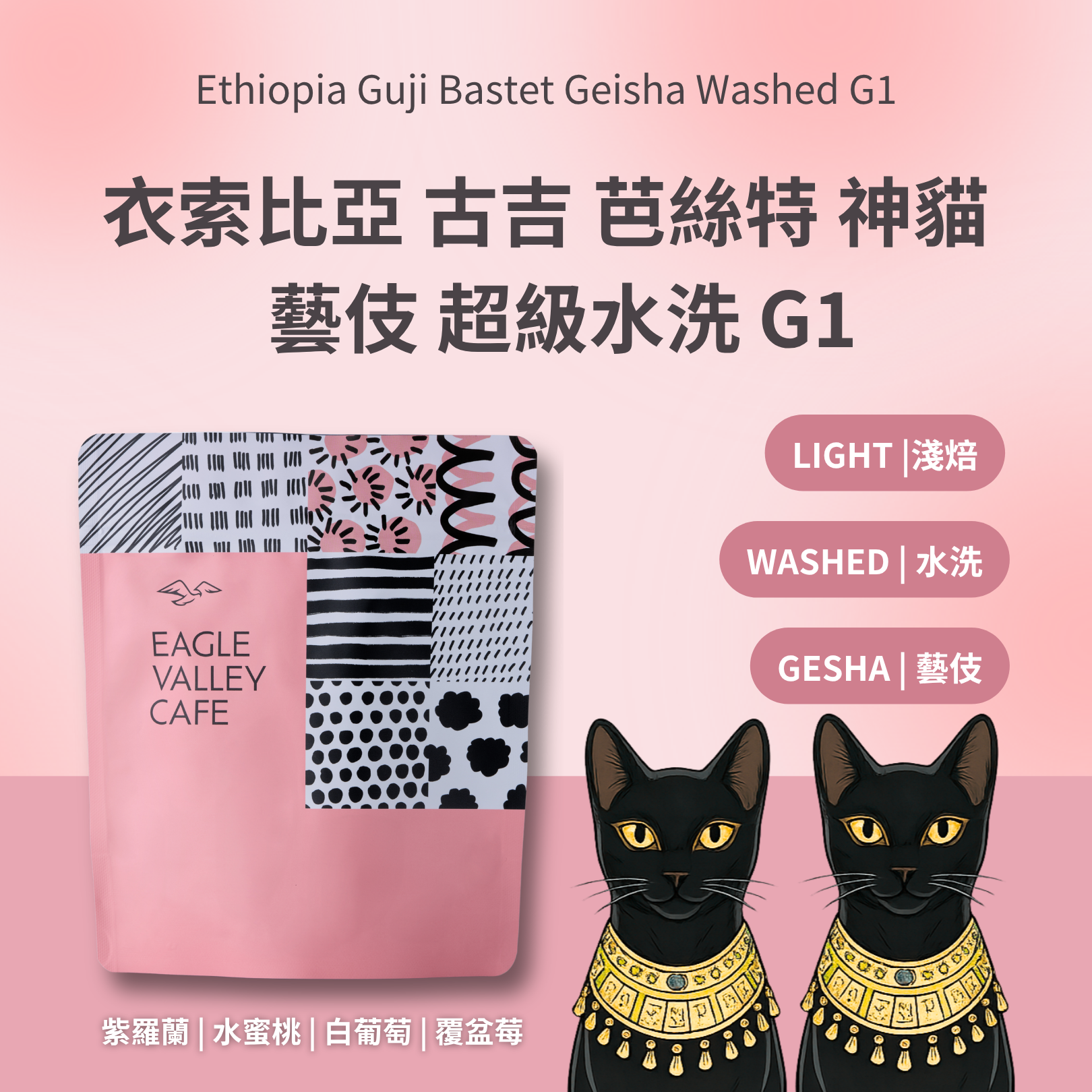 衣索比亞 古吉 芭絲特 神貓 藝伎 超級水洗 G1 淺焙 咖啡豆
