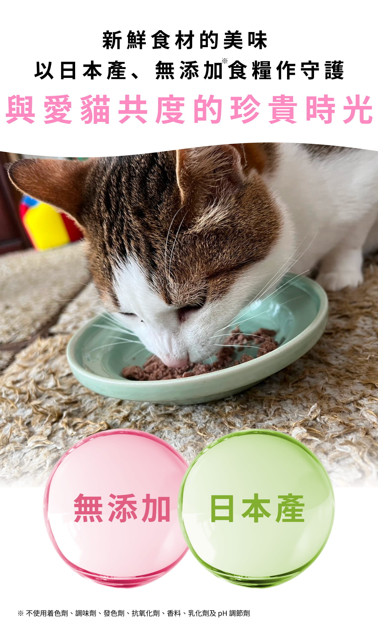 日本Miao Gourmet 貓咪主食鮮食包 35g