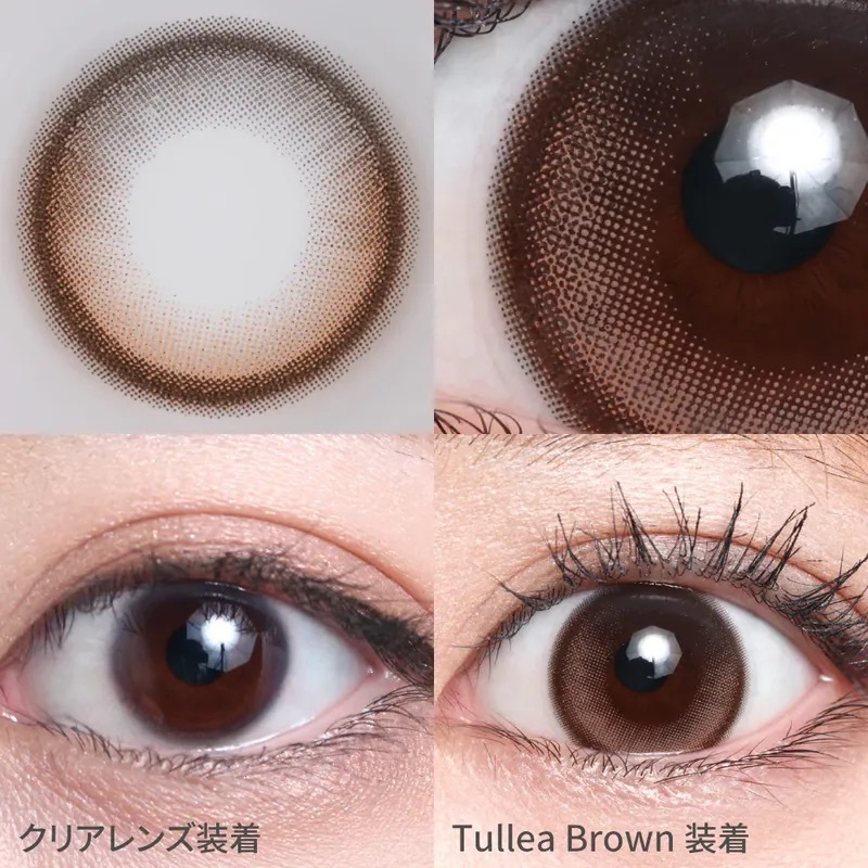[固定高光] TeAmo Natural Half 1 Day Tullea Brown｜日拋彩妝隱形眼鏡｜每盒10片