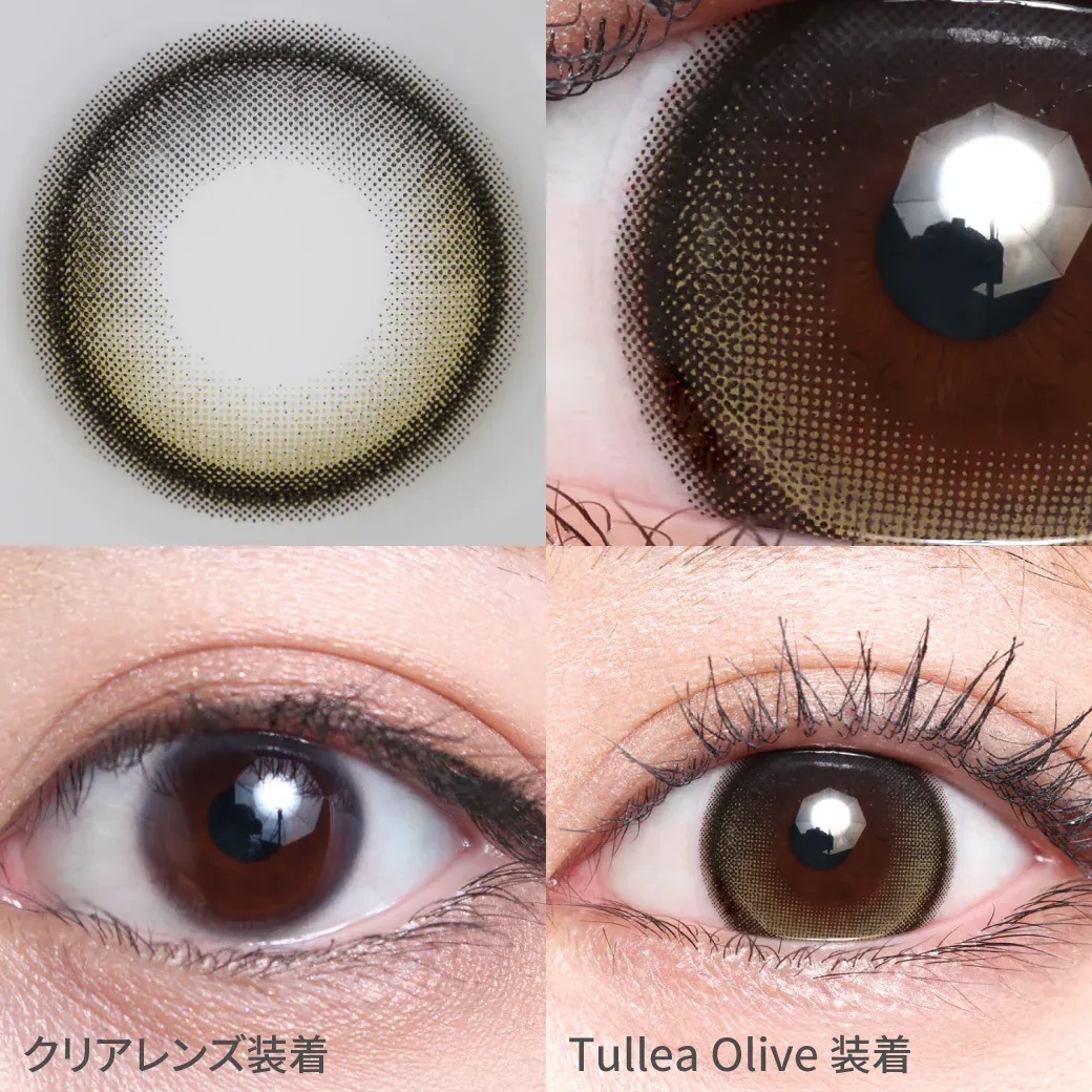 [固定高光] TeAmo Natural Half 1 Day Tullea Olive｜日拋彩妝隱形眼鏡｜每盒10片