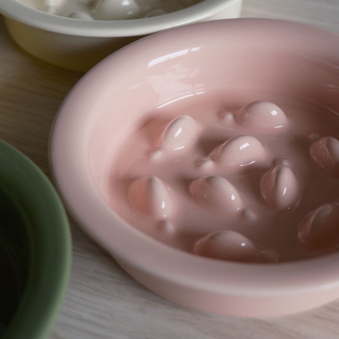 陶瓷小魚慢食碗