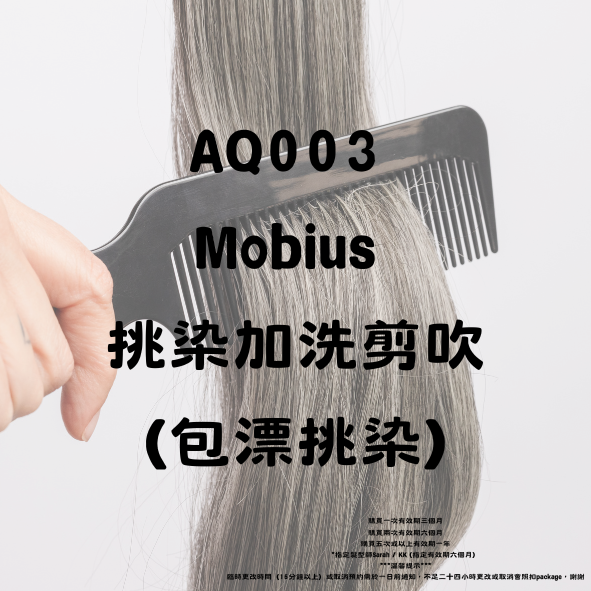 AQ003 Mobius ⁠挑染加洗剪吹（包漂挑染）