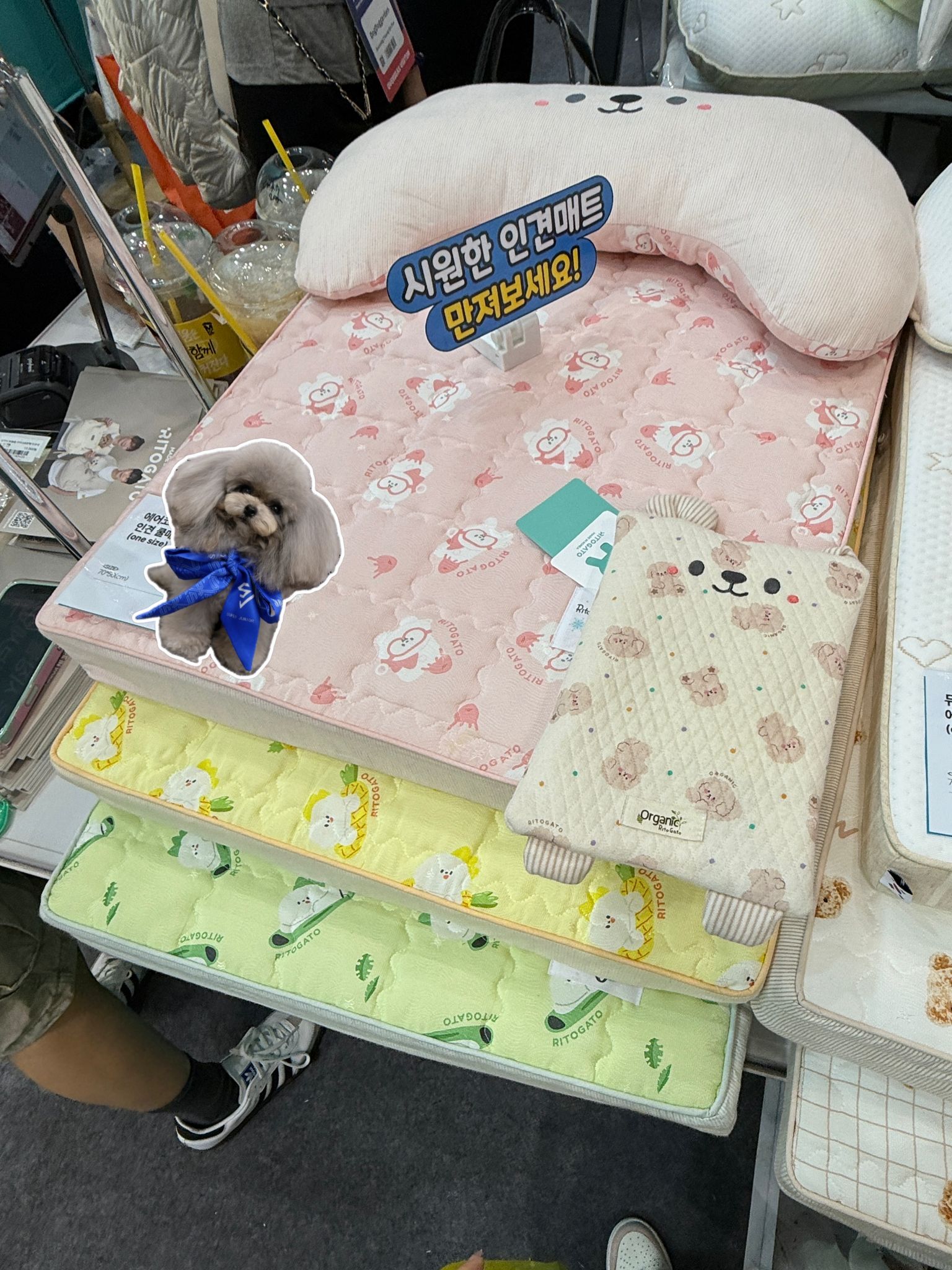 涼感床仔