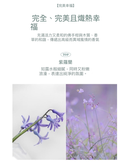 AP006 Nuancier 香氛蠟燭 Perfectly Happy Candle 210 g - 完美幸福