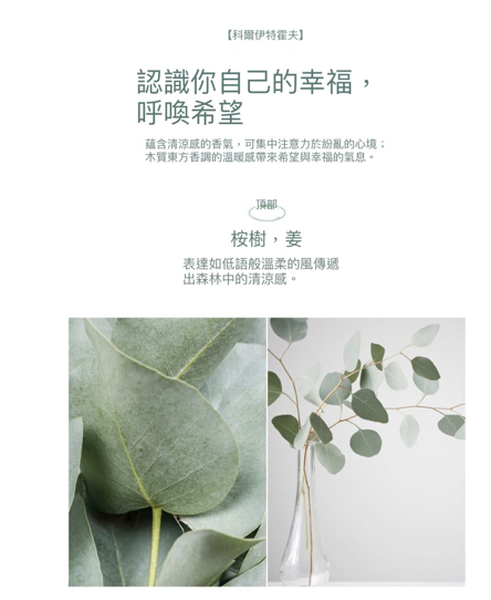AP004 Nuancier 香氛蠟燭 Call It Hope Candle 210 g - 科爾伊特霍夫