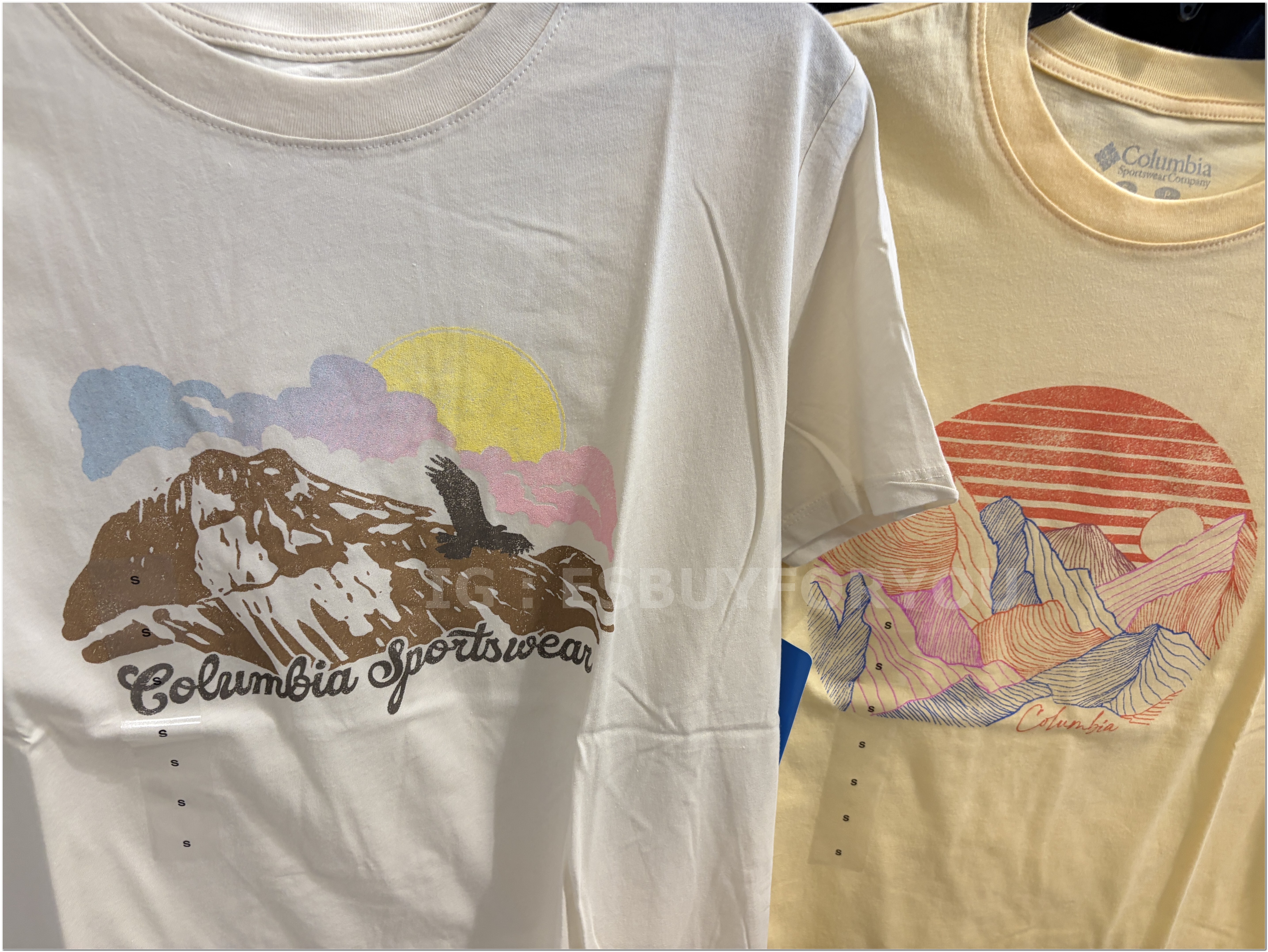 【限時】Columbia 女大人 圖案 短TEE (2色)