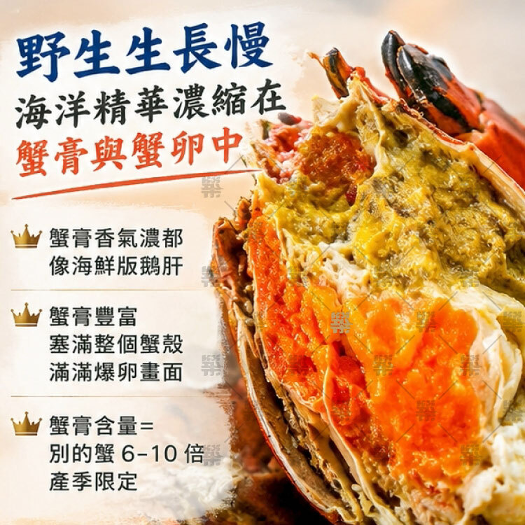 野生生長慢，海洋精華濃縮在蟹膏與蟹卵中，氣濃郁到像海鮮版鵝肝