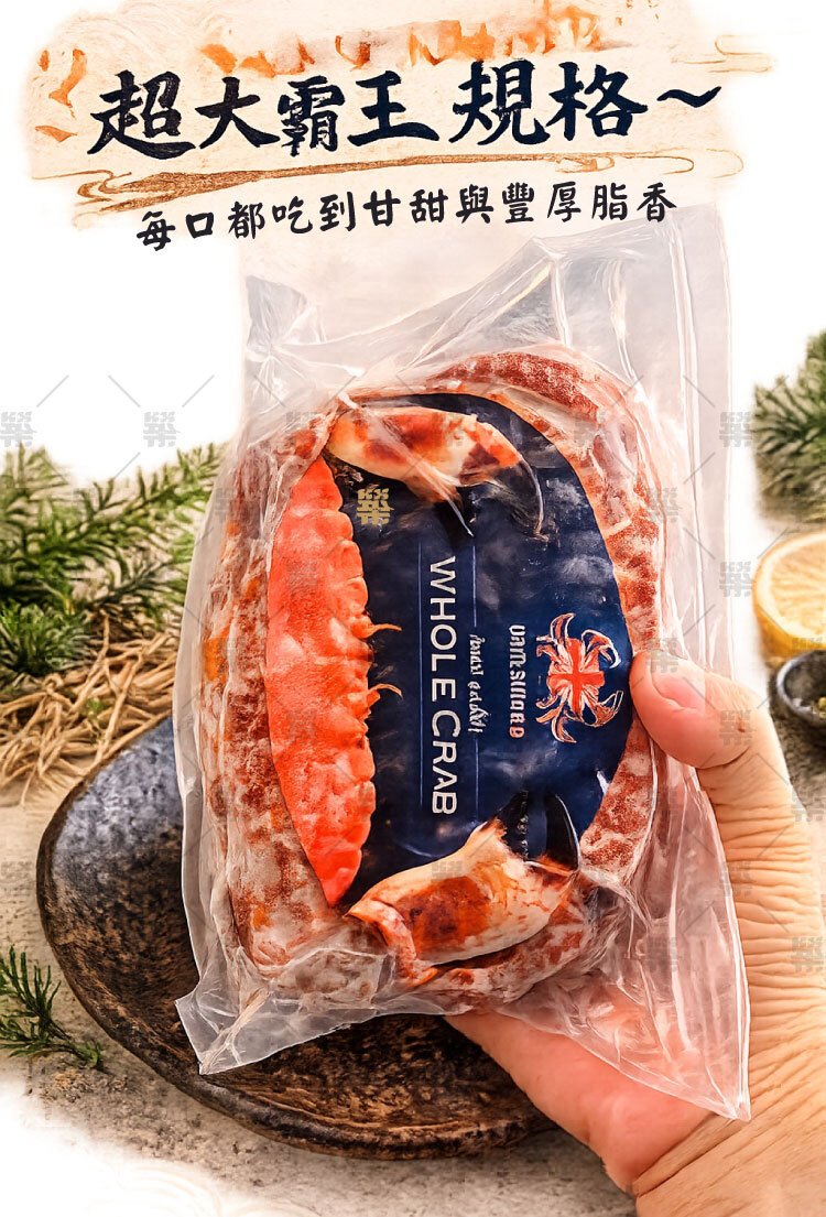 超大霸王級規格! 滿滿蟹膏+厚厚蟹卵+濃郁蟹黃