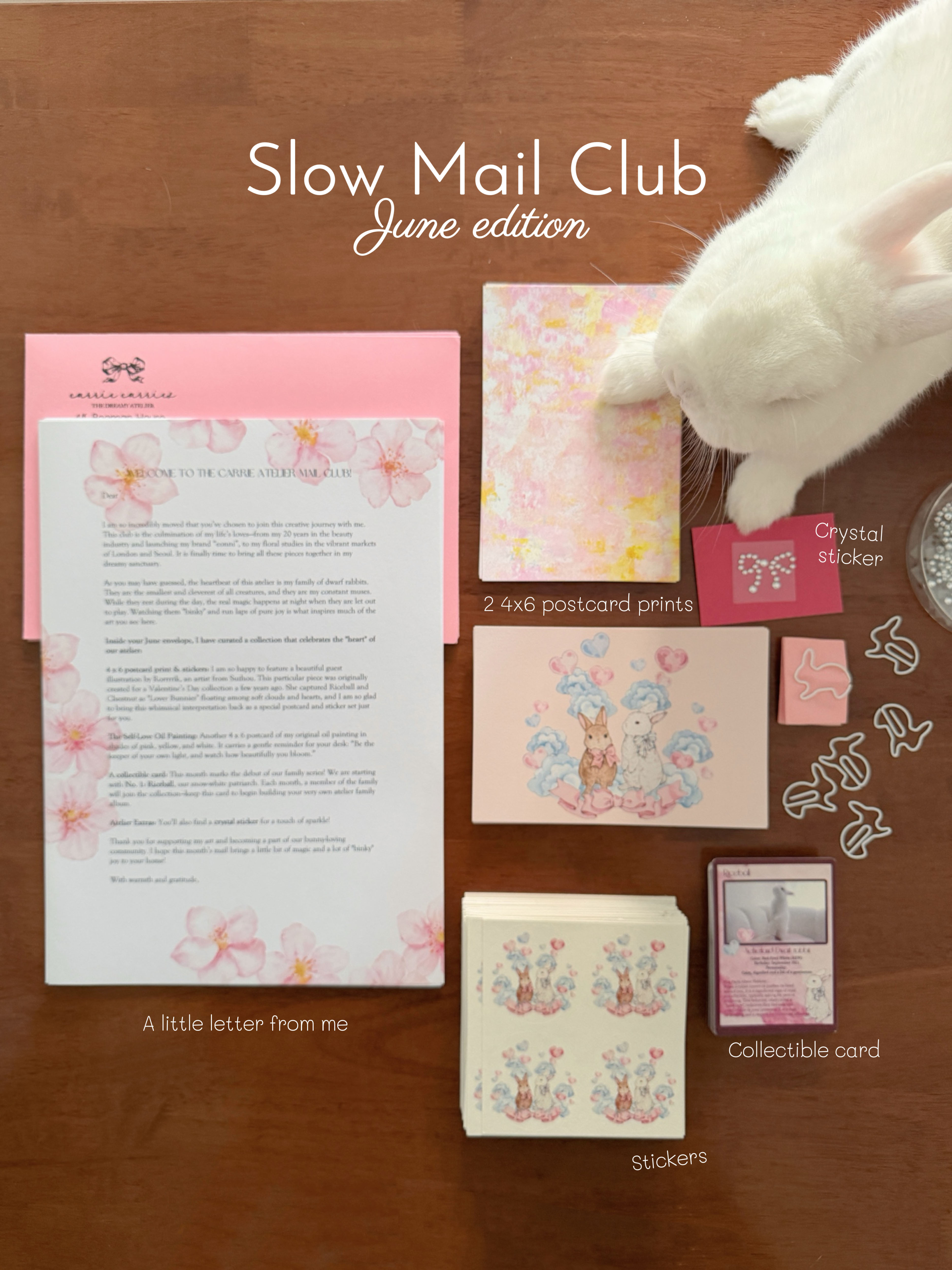 mail club MONTHLY - INTERNATIONAL