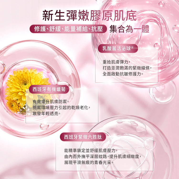 這張圖片的主軸為新生彈嫩膠原肌底,並強調將修護、舒緩、能量補給、抗壓集合為一體。畫面解析了三種相輔相成的成分功效,首先是乳酸菌活泌球,負責重拾肌膚彈力、打造澎潤飽滿的緊緻線條並全面啟動抗皺修護力。第二種是西班牙有機蠟菊,能有效提升肌膚防禦,抵禦環境壓力引起的乾燥老化並散發年輕透亮。第三種是西班牙緊緻六勝肽,能精準鎖定並舒緩肌膚壓力、由內而外撫平深層紋路、提升肌膚細緻度,以展現平滑無痕的青春光采。