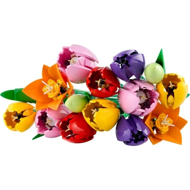 【玩具研究中心】LEGO 樂高 Botanicals 鬱金香花束 11501