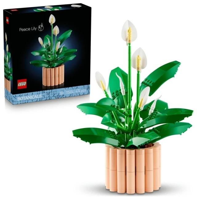 【玩具研究中心】LEGO 樂高 Botanicals 白鶴芋 11504