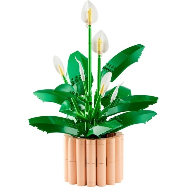 【玩具研究中心】LEGO 樂高 Botanicals 白鶴芋 11504