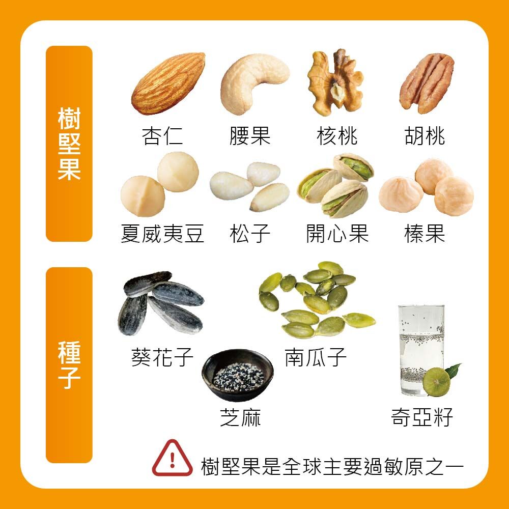 堅果種類