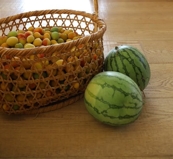 【繪本廚房藝術夏令營】
