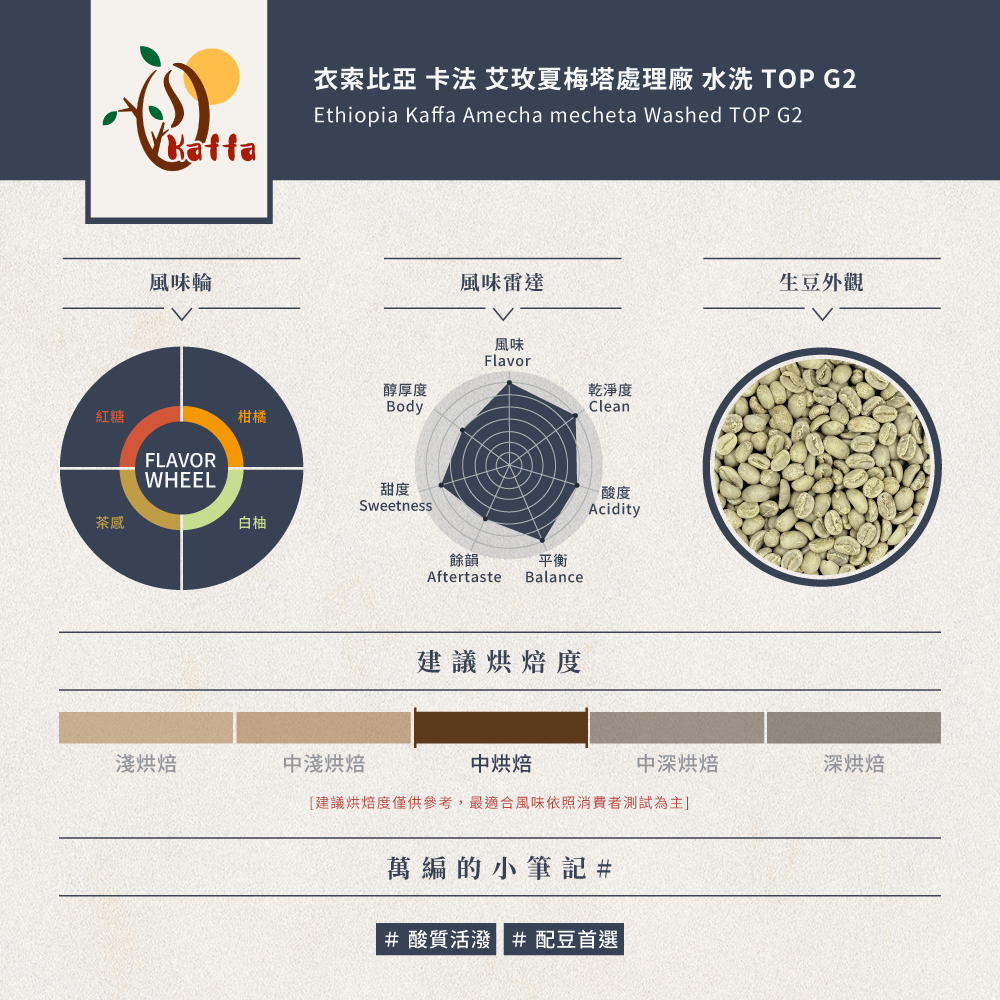 衣索比亞 卡法 艾玫夏梅塔處理廠 水洗 TOP G2